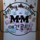 초록애견샵 이미지