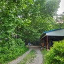 평화강변수목캠핑장 이미지