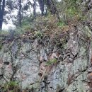 양평밸리관광펜션 이미지