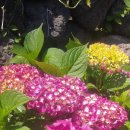 준이농장 이미지