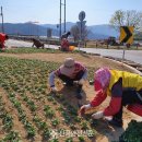 가천면 마을회관 이미지