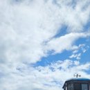 천사의 몫 이미지