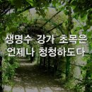 저 좋은 낙원 이르니, 245장 이미지