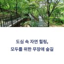 성원아파트(삼덕공원 방면) | 서울 도심 속 힐링 스팟! 수락산, 불암산, 영축산, 초안산 무장애숲길 정복