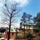 아메리칸양념통닭 이미지