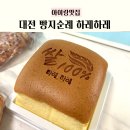 하레하레 | 대전 빵지순례 추천코스 하레하레 둔산점 후기! 쌀치즈카스테라
