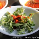 토속집 Daum카페