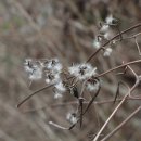 라뷰테제주 이미지