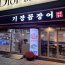 기장꼼장어