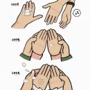 제이디(JD)팜 | 비도 오고 날씨도 꿀꿀 나도 꿀꿀🐷