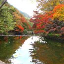 제44주차(10/30) 정기산행공지(충북 보은 속리산과 세조길) 이미지