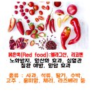 행운푸드 Daum카페