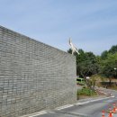 영월 Y파크(술샘박물관) 이미지