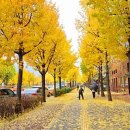 몽촌토성역 2번출구 이미지