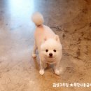 감성그루밍 이미지