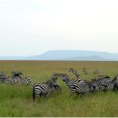 대지를 바라보며 이미지