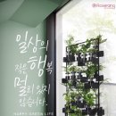 콜라보협동조합 이미지