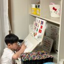 꿈꾸는 의자 | [정보공유] 예비초등학생 7세 책상, 의자 내돈내산 후기 - 꿈꾸는요셉 네오책상/시디즈링고 1세대 코랄핑크