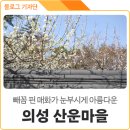 자암고택 이미지