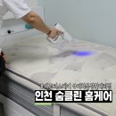 클린케어 | 인천매트리스청소 비치움 숨클린에서 만족스런 케어 후기