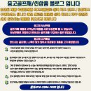 페르시안켓