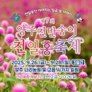 천일홍축제 이미지