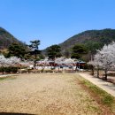 잘산대대박마을 이미지