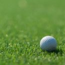 신원2로 이미지