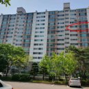 메디팜요진약국 이미지