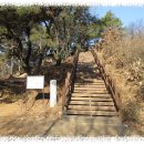 서구-01-04 Daum카페