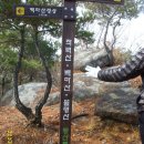 동성동011 이미지