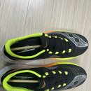 엔돌핀 | 써코니 엔돌핀 프로4 구매후기 : 스피드5 좋아하면 못 참는다(사이즈팁 포함)