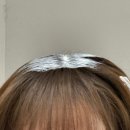 금당 셀프세차 | 순천미용실 데이온 후기｜샴푸염색 실패 후 애쉬염색으로 복구했어요