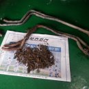 한성카센타 이미지