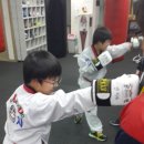 YM복싱클럽 이미지