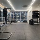 데이빗짐 이미지