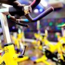 아라핏짐 이미지