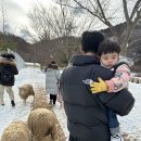 휘바핀란드위드플레이정글 | [강원도 홍천] 아기랑 여행 ‘휘바핀란드with플레이정글’ 30개월 아기들 다녀온 후기