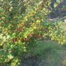 구학산농장 이미지