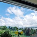 숲다 | 제주애월카페 숲다 제주카페추천