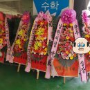 이덕우복싱클럽 이미지