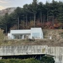 머스트화이트1동