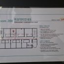 라엘르 고양일산본점 네이버블로그