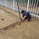 부일중학교 이미지