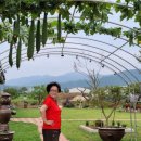 옹기문화의 집 이미지