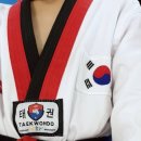 국가대표용인대차암태권도 네이버블로그