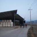 월송농장 이미지