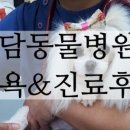 해담동물병원 이미지