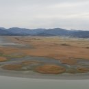 세포삼거리 이미지