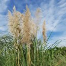 연수중학교 이미지